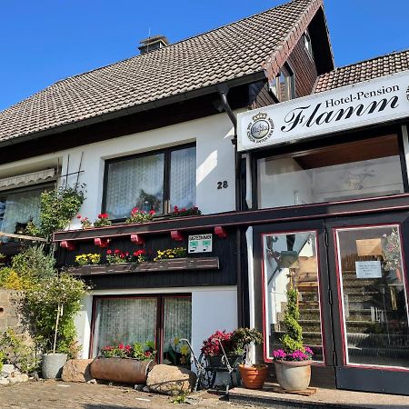 Hotel-Pension Flamm Braunlage Exterior photo