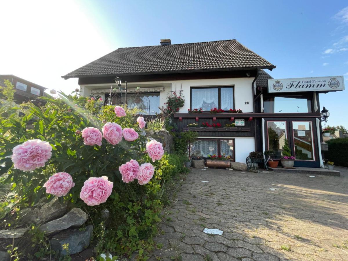 Hotel-Pension Flamm Braunlage Exterior photo